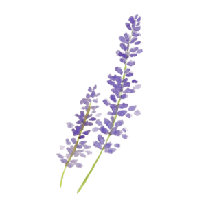 Aromaterapi.ist Site Icon